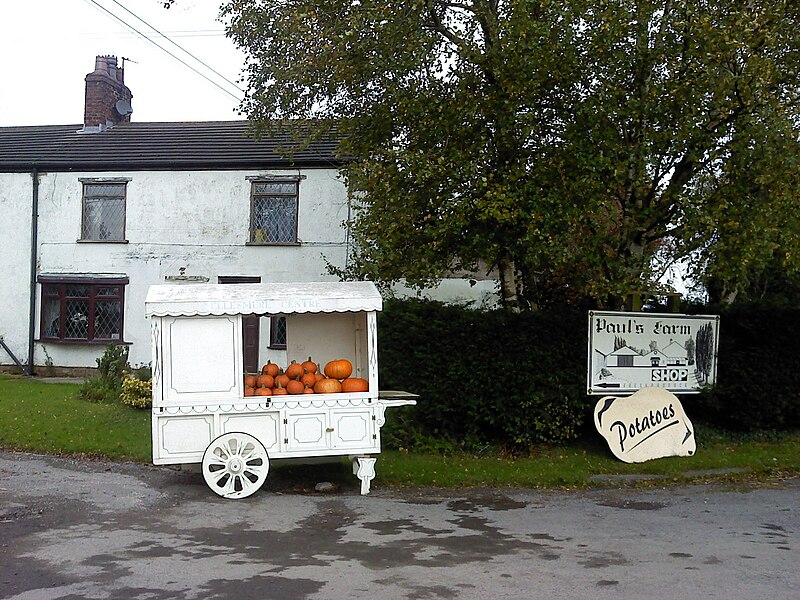 File:A barrowful of pumpkins at Paul's Farm Shop, Leyland - geograph.org.uk - 2135532.jpg