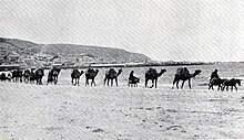 A caravan traversing Shemen Beach in Haifa. 1912.jpg