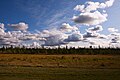 Highway 63 landscape