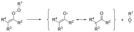 Zerfall von Alkenylperoxiden durch homolytischen Bruch der O-O-Bindung