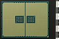 English: CPU AMD Epyc 7302P bottom side with mm scale