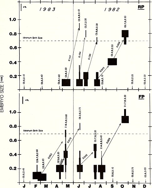 File:American malacological bulletin (1987) (17968549638).jpg