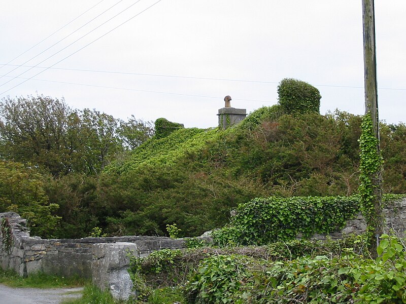 File:An Abandoned House.jpg