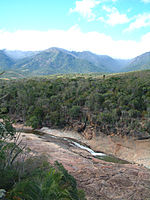 A picture of a very small river running through a dense forest. Several mountains fill the background.