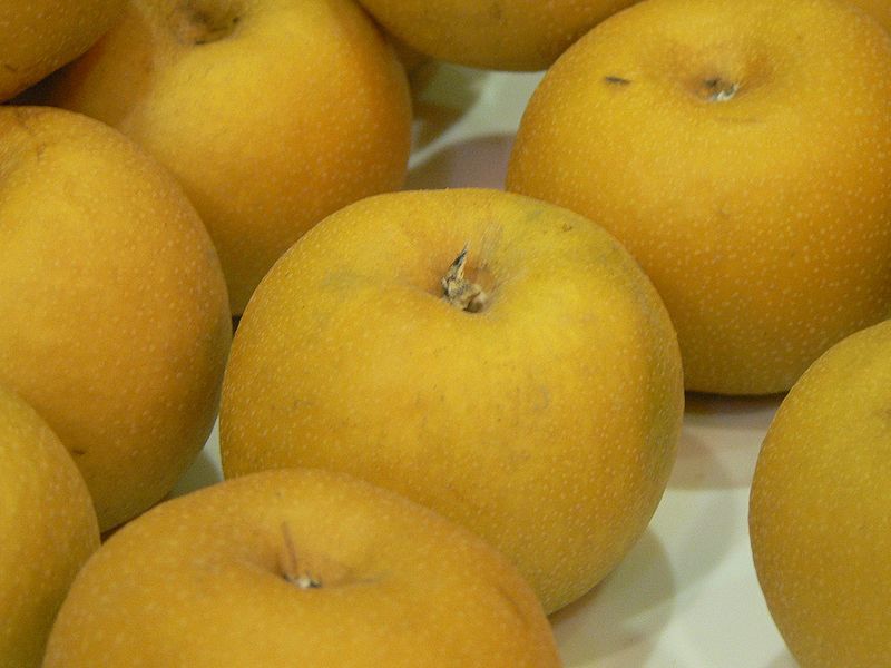 File:Asian.pear-Pyrus.pyrifolia-05.jpg