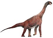 Atlasaurus.jpg