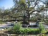 Fountain in Audubon Park