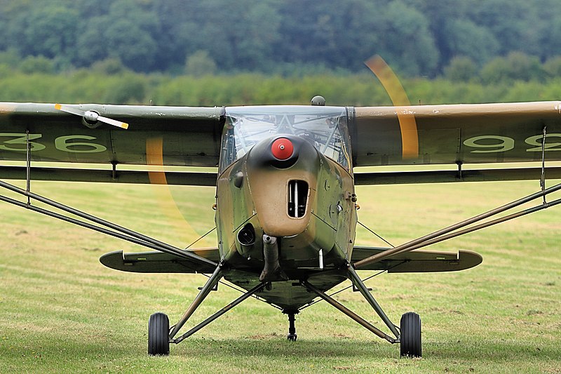 File:Auster (51519701218).jpg