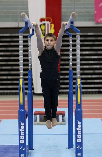 File:Austrian Future Cup 2018-11-23 Training Afternoon Parallel bars (Martin Rulsch) 0052.jpg