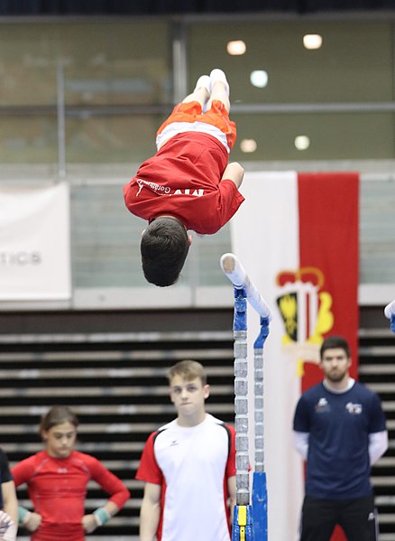 File:Austrian Future Cup 2018-11-23 Training Afternoon Parallel bars (Martin Rulsch) 0375.jpg