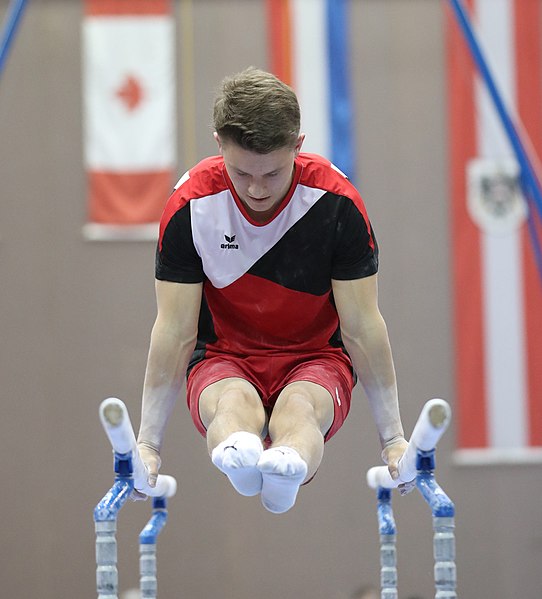 File:Austrian Future Cup 2018-11-23 Training Afternoon Parallel bars (Martin Rulsch) 0387.jpg