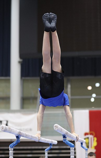 File:Austrian Future Cup 2018-11-23 Training Afternoon Parallel bars (Martin Rulsch) 0837.jpg