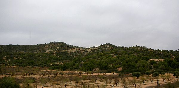 The Auts, low, scruffy hills south of Mequinensa where a whole Republican division was captured and slaughtered