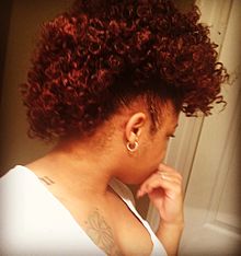 Natural hair movement - Wikipedia