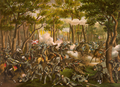 Battle of the Wilderness, 1864