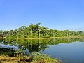 ১৪:১৯, ৩১ মে ২০১৮-এর সংস্করণের সংক্ষেপচিত্র