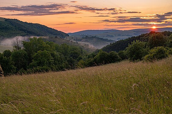 Sunset over the oat meadow in the White Carpathian mountains, Slovakia Photograph: User:Tomasfi