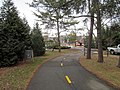 Trail south of Wilson Boulevard near North Edison Street, looking northeast towards North George Mason Drive (January 2017)