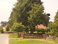 wikimedia_commons=File:Bocianie gniazdo Cewków 42.JPG