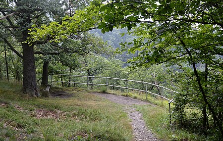 Bodetalblick