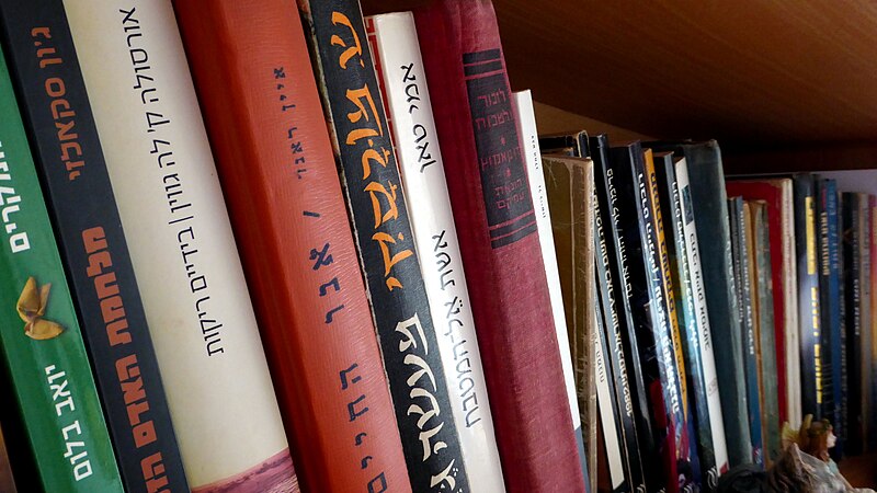 File:Books in Israel 2024 03.jpg