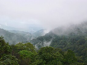 Brahmagiri satwa liar sanctuary.jpg