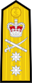 Epaulettes D'un Vice Amiral dans la Royal Navy avant 2001.