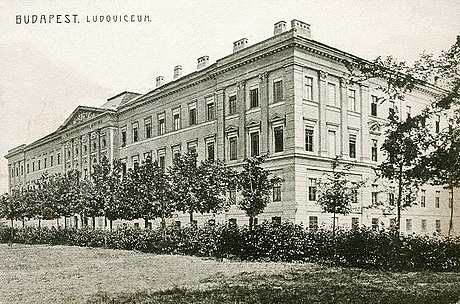 Ludovica Academy