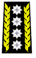 General (Swiss Land Forces)