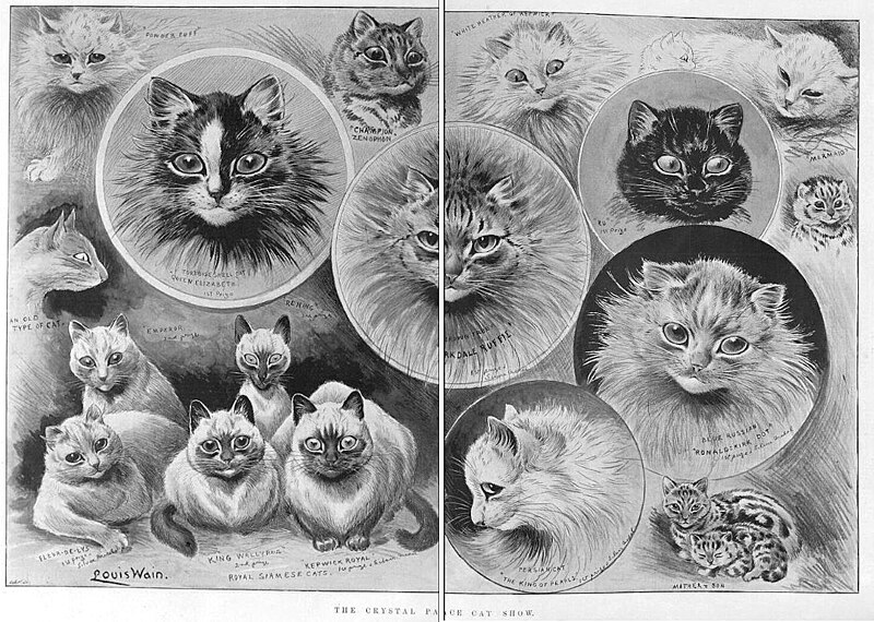 File:CRYSTAL PALACE SHOW, Bromley & District Times, 23rd October 1896, Louis Wain.jpg