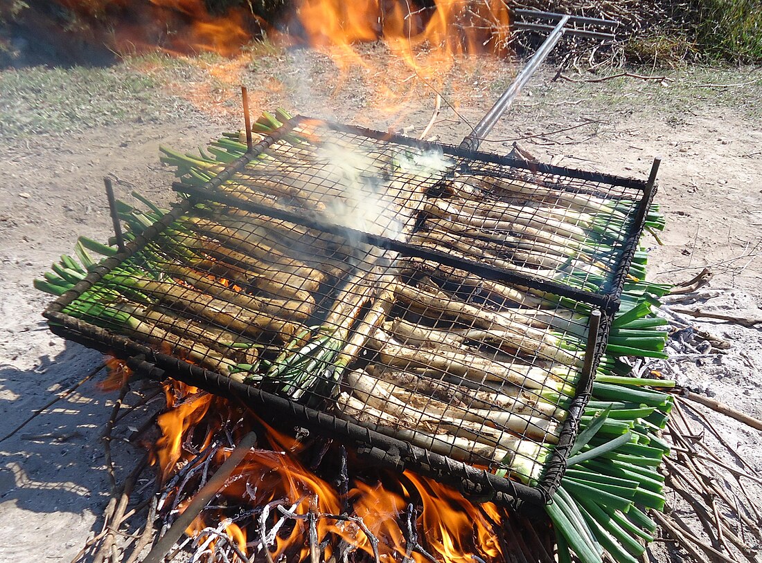 Calçotada