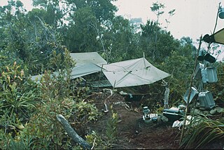 <span class="mw-page-title-main">Pagon Hill</span> Hill in Temburong District, Brunei