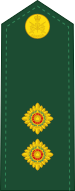 File:Canadian Army OF-1b.svg