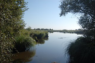 Brière Regional Natural Park