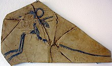 Moulage du fossile du Lagerstätte de Canjuers, France.