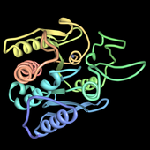 carboxipeptidasa A