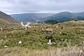 * Nomeação Cemetery in Minkənd village in Laçın District, Azerbaijan --Golden 12:11, 7 September 2024 (UTC) * Promoção  Support Good quality. --Plozessor 05:00, 15 September 2024 (UTC)