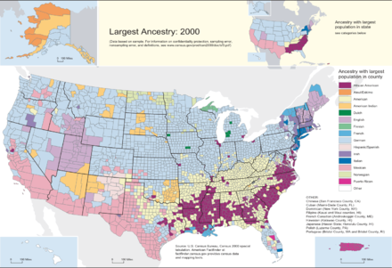 Mapa de les ètnies majoritàries a cada comptat dels Estats Units. És molt significatiu que a la major part del territori siguin majoritaris els alemanys; que a Nova Anglaterra hi dominin anglesos, irlandesos, francesos i italians; els hispans al llarg de la frontera del sud-oest o a Puerto Rico; i els negres i els anomenats "americans" al Sud. Puntualment, també destaquen els amerindis a Navajoland, a Oklahoma i al nord; els noruecs i finesos en zones del nord; els esquimals a Alaska; els francesos a Louisiana i els anglesos al Mig Oest; en canvi, no es reconeix cap majoria a Hawaii.