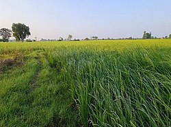 Chamb Bhimber Azad Kashmir.jpg