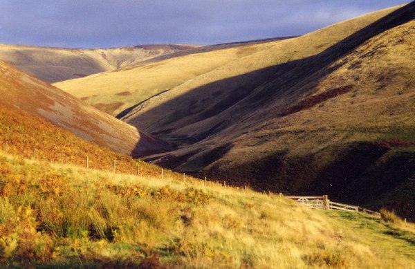 The Cheviot Burn