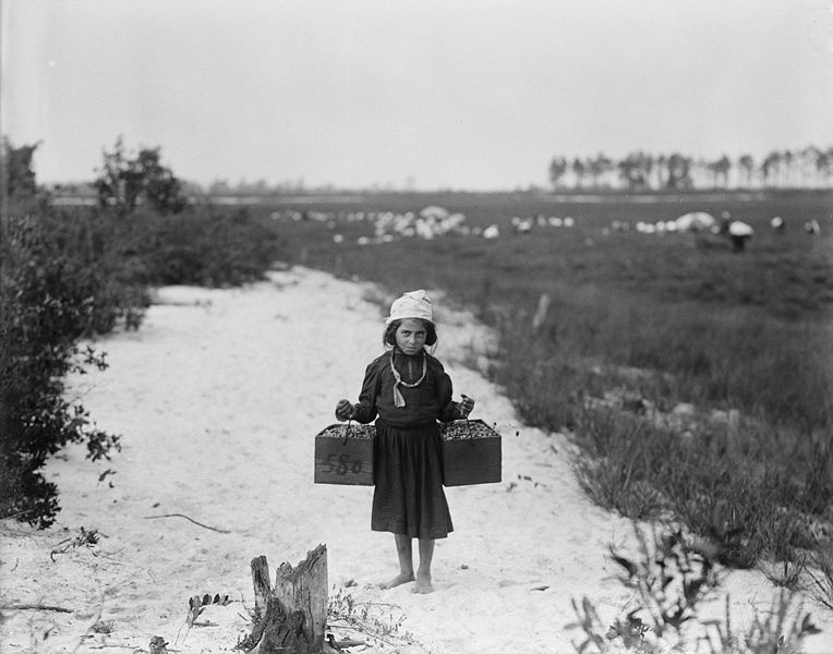 File:ChildLabor1910.jpg