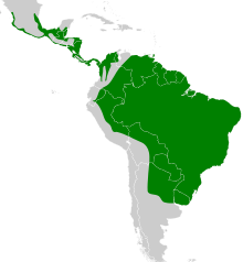 Chloroceryle amazona map.svg