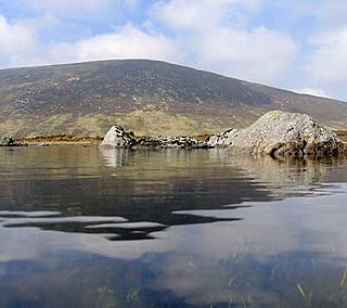 Cloghernagh Mountain in Wicklow, Ireland