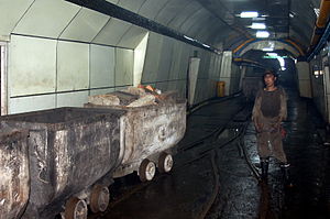 Steinkohlenbergbau: Geschichte, Lagerstätten, Abbaumethoden