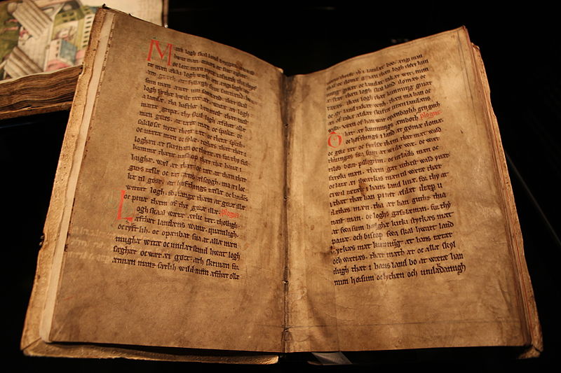 Fil:Codex Holmiensis or Jyske Lov.JPG