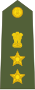 Colonel of the Indian Army.svg