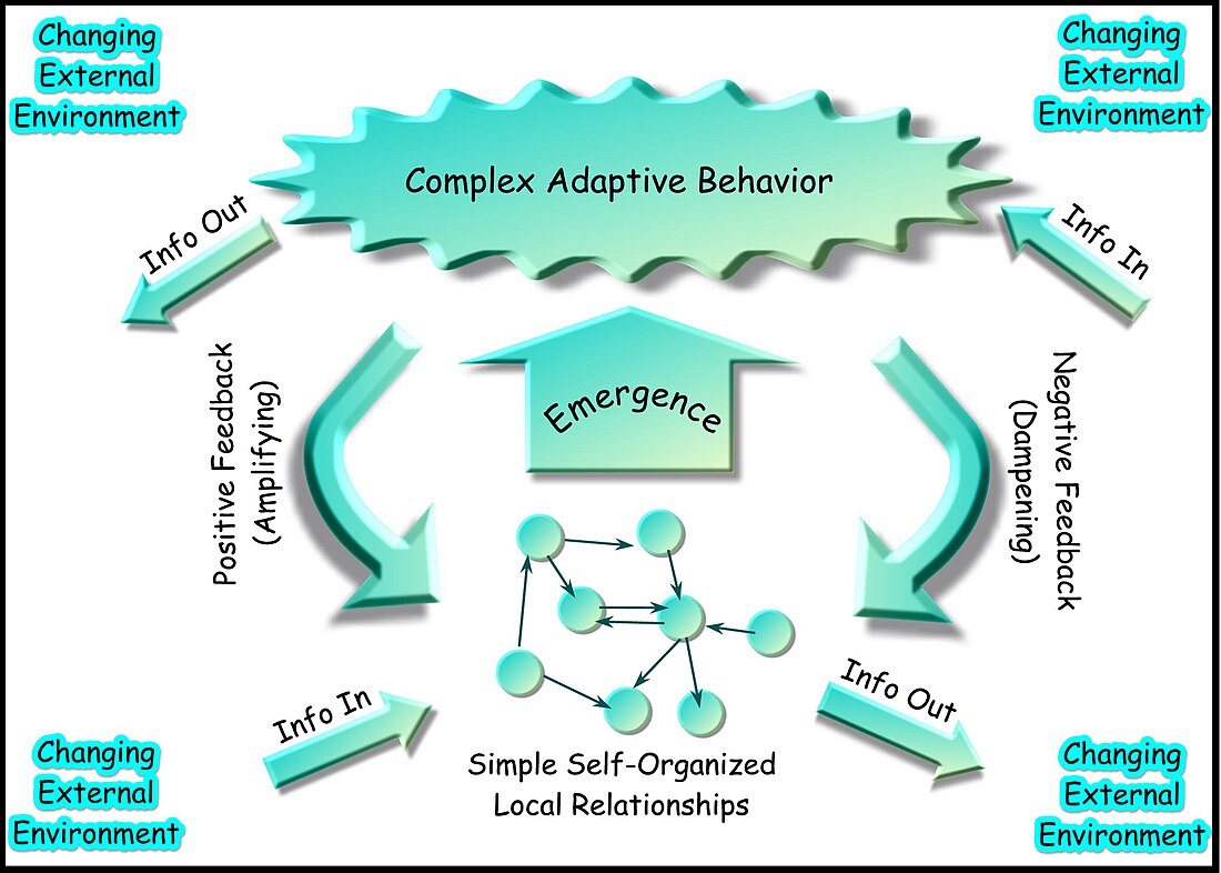 File:Complex-adaptive-system.jpg