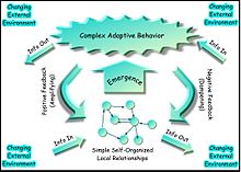 Complex-adaptive-system.jpg