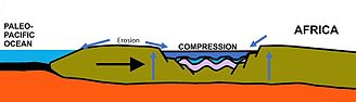 Compression of the Owambo Basin in the post-rift stage of the formation of Gondwana Compression Owambo Basin.jpg