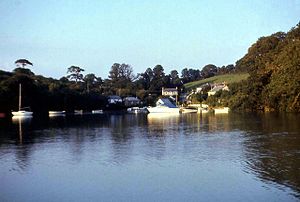 Coombe, Kea - geograph.org.uk - 320985.jpg